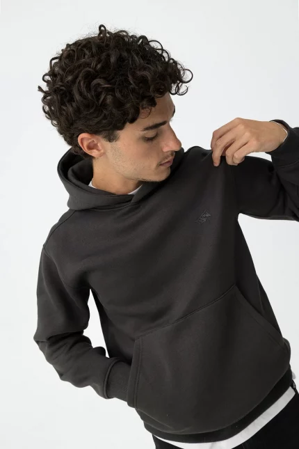 SUDADERA CON CAPUCHA GRIS CHICO 10061839_097